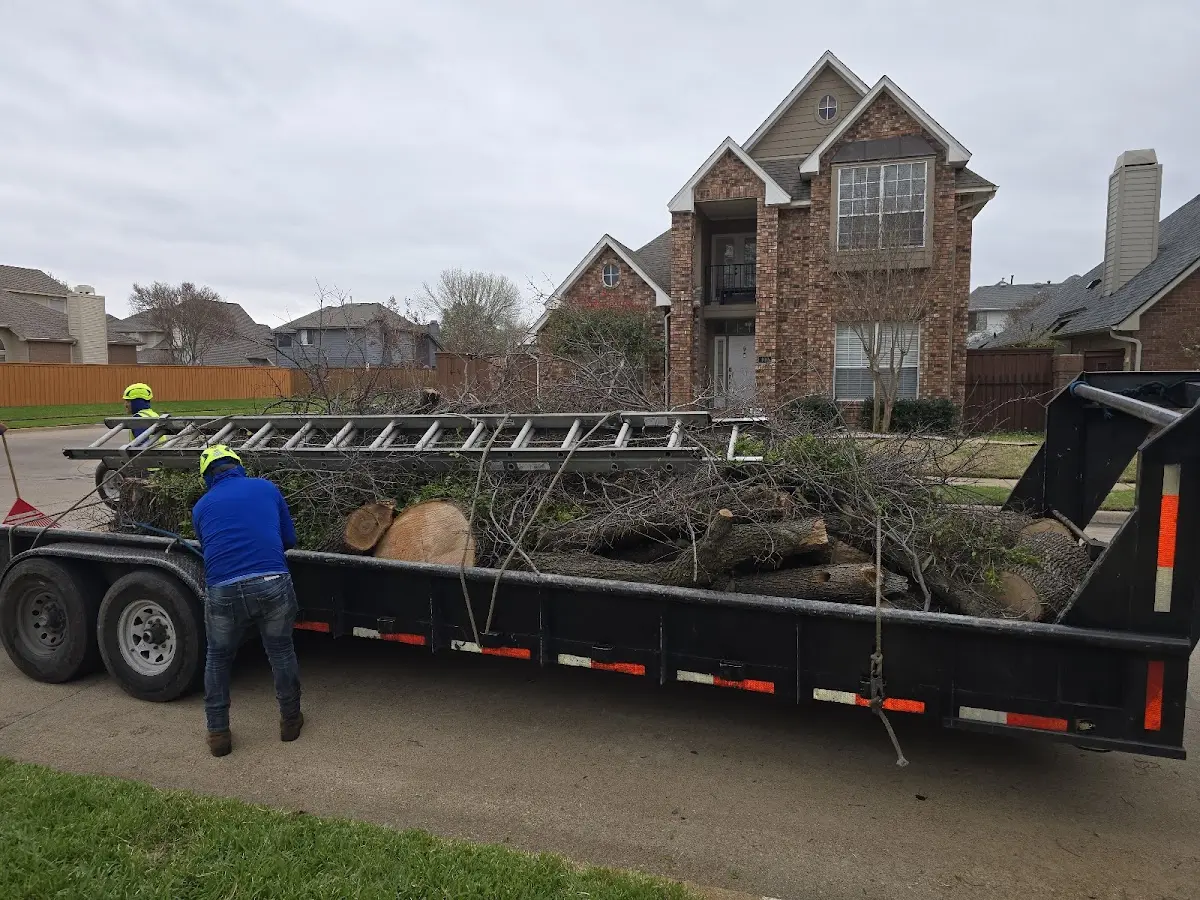 Expert Crown Reduction with proper safety equipment in Worthington